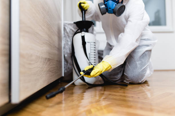 Best Cockroach Control Services  in De Smet, SD