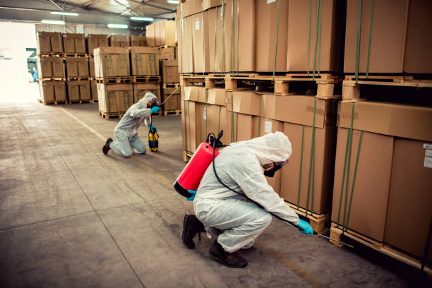 Best Pest Removal Services  in De Smet, SD