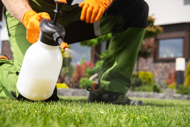 Best Local Pest Control Services  in De Smet, SD