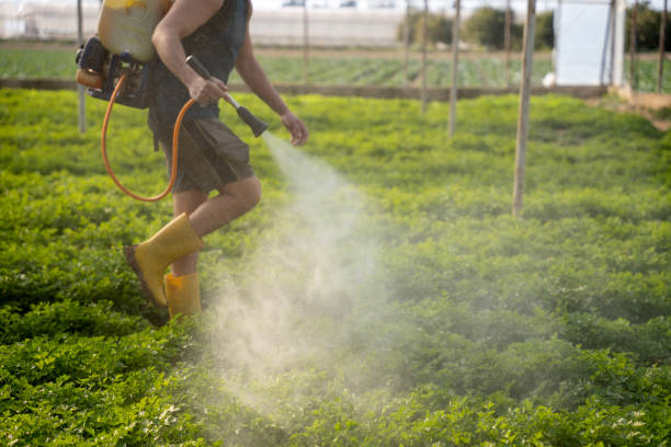 Best Affordable Pest Control Services  in De Smet, SD