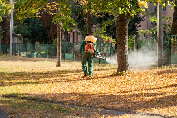 Best Bed Bug Extermination  in De Smet, SD